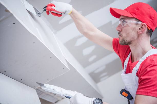 Best Fire-Damaged Drywall Repair  in Lowellville, OH